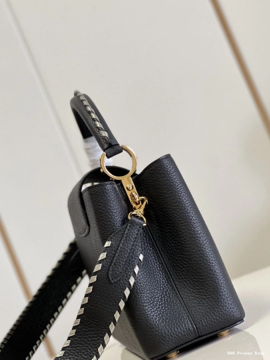 AAA Pruses Bags LOUIS VUITTON MM CAPUCINES 0814